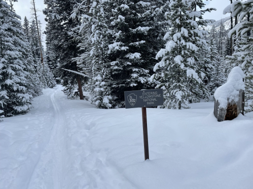 A snowy trail leads into a forest, marked by a sign that reads "Entering Yellowstone National Park."