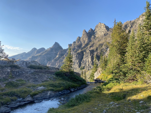 A serene mountain landscape with a flowing stream, rocky terrain, and tall trees under a clear blue sky.