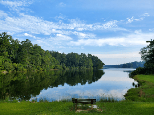 A serene lake surrounded by lush trees, with a bench in the foreground reflecting the clear blue sky and calm water.