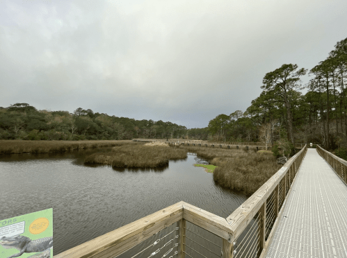 A wooden boardwalk stretches over a marshy area, surrounded by trees and a cloudy sky.