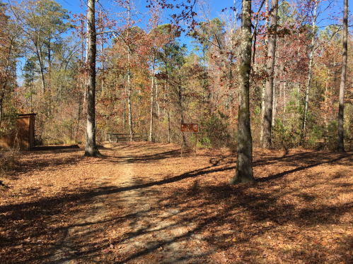 A wooded path with fallen leaves, leading to a sign and a picnic area surrounded by tall trees.