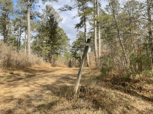 A dirt path through a forest with a leaning wooden signpost indicating directions. Trees line both sides of the path.