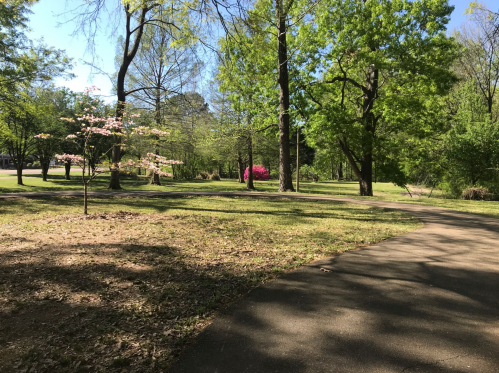 A peaceful park scene with trees, blooming flowers, and a winding path under a clear blue sky.