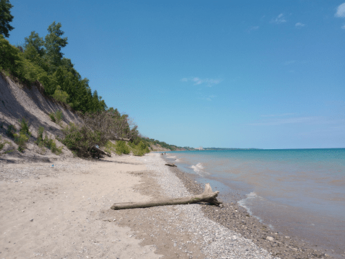 A sandy beach with a log, surrounded by trees and a calm blue lake under a clear sky.