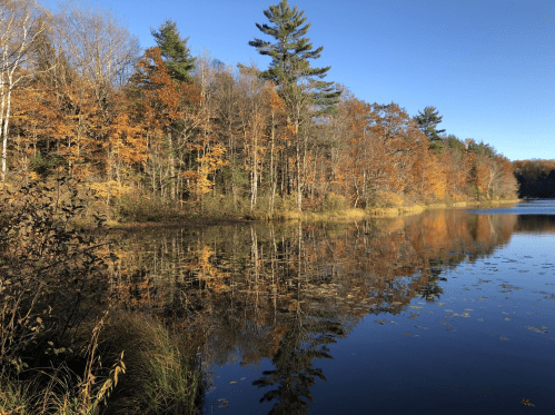 A serene lake surrounded by trees with autumn foliage, reflecting the colorful leaves and clear blue sky.