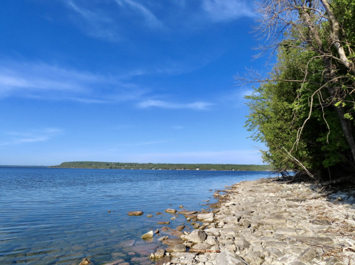 A serene lakeside view with clear blue water, rocky shore, and lush green trees under a bright blue sky.