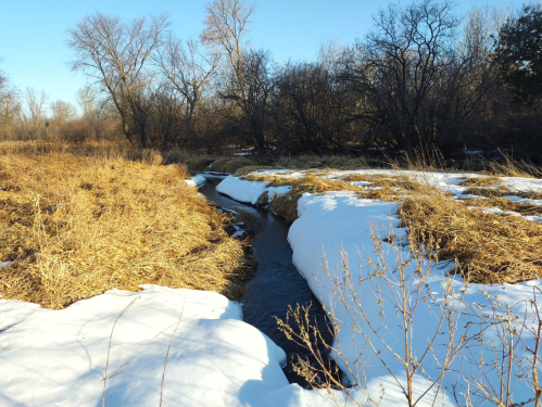 A serene winter landscape featuring a small stream flowing through snow-covered grass and bare trees.