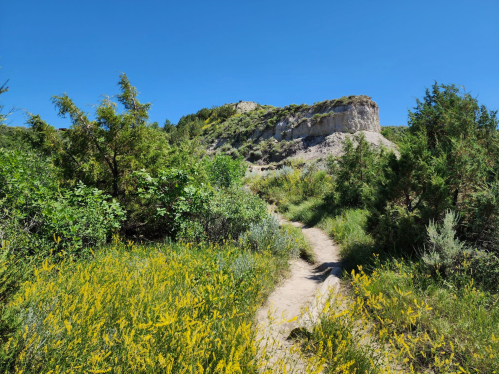 A winding dirt path leads through lush greenery and wildflowers, with a rocky cliff in the background under a clear blue sky.