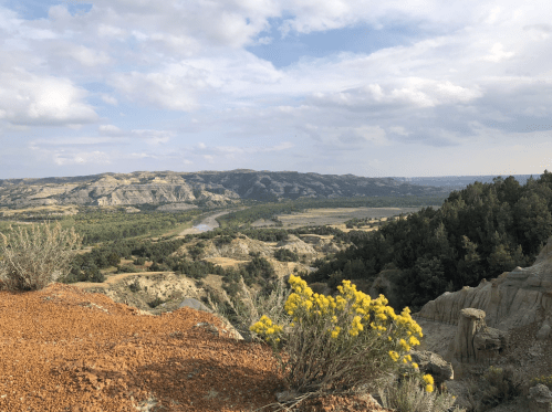 A scenic view of rolling hills and a river, with yellow flowers in the foreground under a partly cloudy sky.