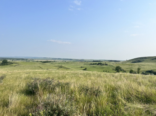 A wide, open landscape of rolling green hills under a clear blue sky.