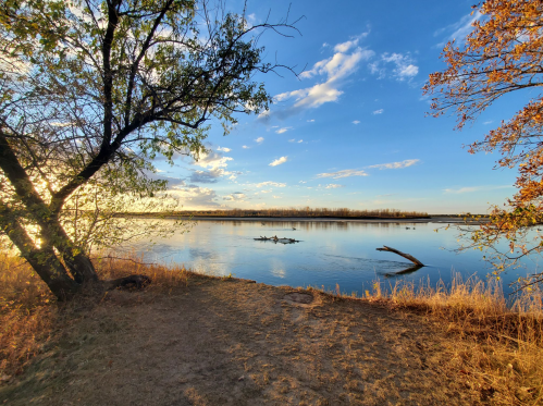 A serene river scene at sunset, with trees and golden grass along the water's edge under a blue sky.