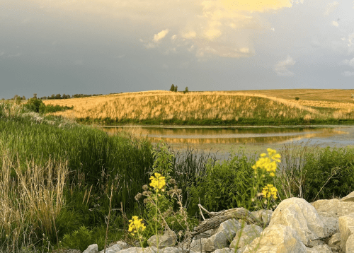 A serene landscape featuring a calm river, grassy hills, and wildflowers under a cloudy sky.