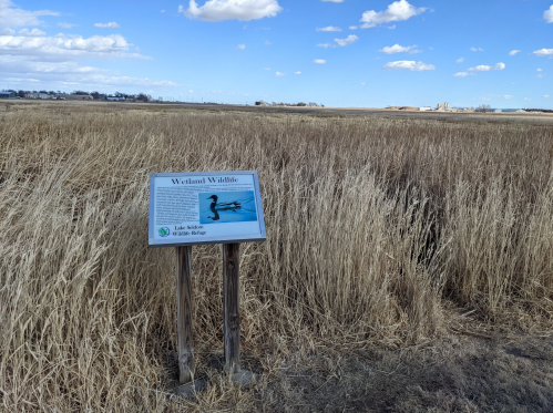 A sign about wetland wildlife stands in a grassy area under a blue sky with scattered clouds.
