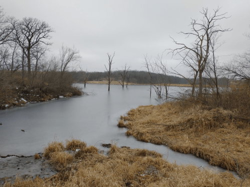 A tranquil, overcast landscape featuring a still, icy pond surrounded by bare trees and dry grasses.