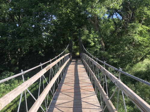 A wooden suspension bridge surrounded by lush green trees, leading into a shaded path.