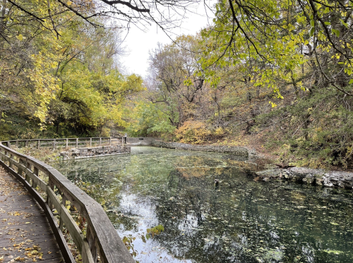 A serene, wooded path alongside a calm, greenish pond surrounded by autumn foliage.