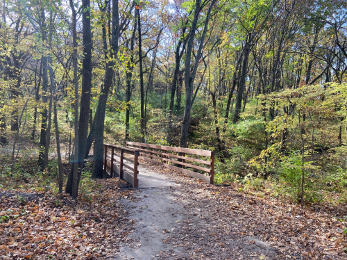 A wooden bridge crosses a path in a forest with autumn leaves and trees in vibrant colors.