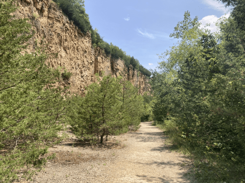 A gravel path winds through a forested area with tall cliffs and greenery on either side under a clear blue sky.