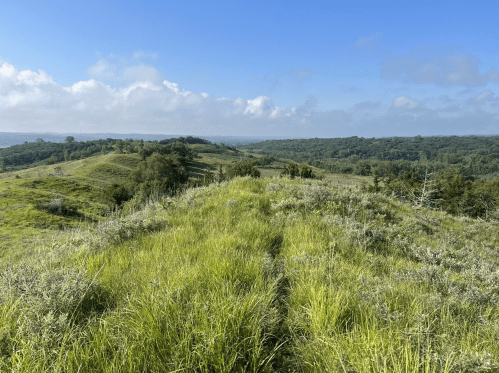 A scenic view of rolling green hills under a blue sky with scattered clouds. Lush grass and trees dot the landscape.