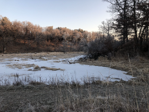 A frozen pond surrounded by frosty grass and trees, with a clear sky above and a hint of sunlight.