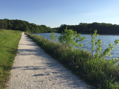 A scenic path alongside a calm lake, bordered by greenery and trees under a clear blue sky.