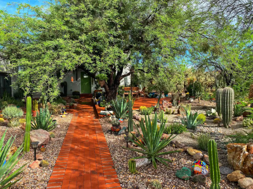 A scenic garden path lined with cacti and greenery, leading to a house surrounded by desert plants.