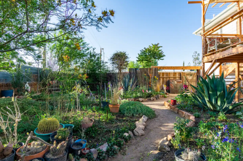 A vibrant garden path lined with potted plants, leading to a wooden structure under a clear blue sky.