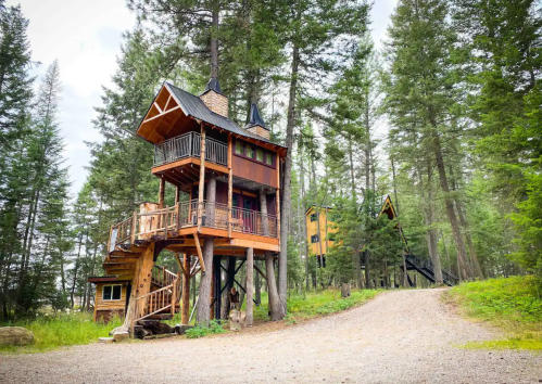 A wooden treehouse with multiple levels, surrounded by tall trees and a gravel path.
