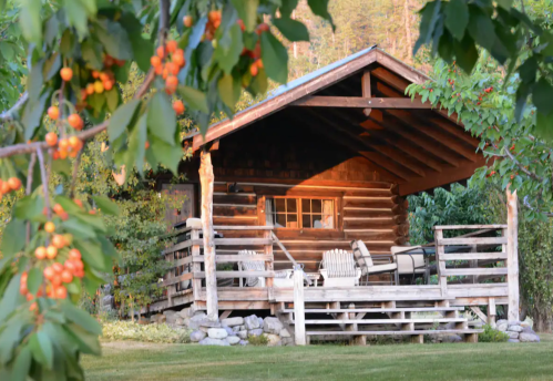 A rustic wooden cabin with a porch, surrounded by greenery and trees, creating a cozy outdoor atmosphere.