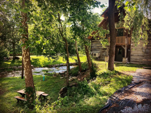 A rustic cabin surrounded by trees, with a small stream and picnic table in a lush green setting.