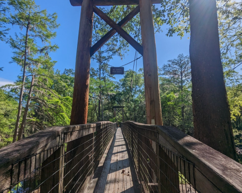 A wooden suspension bridge surrounded by lush green trees under a clear blue sky.