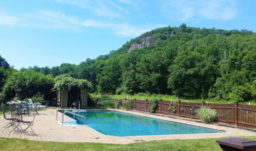 A serene outdoor pool surrounded by greenery and a wooden fence, with a hill in the background under a clear blue sky.