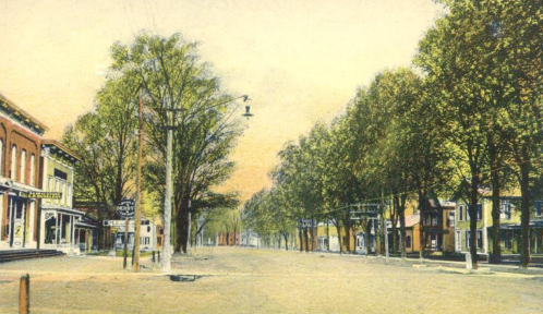 A quiet street lined with trees and vintage buildings, featuring power lines and a clear sky.
