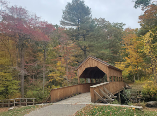 A wooden covered bridge surrounded by vibrant autumn foliage in a serene forest setting.