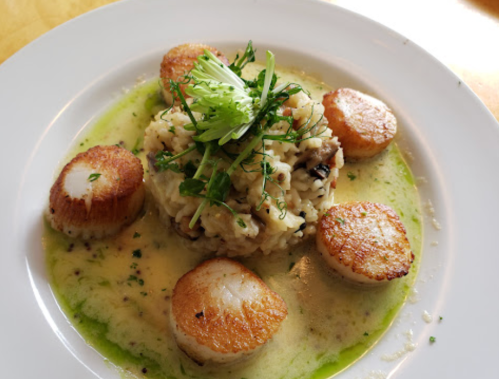 A plate of creamy risotto topped with seared scallops and garnished with fresh herbs.