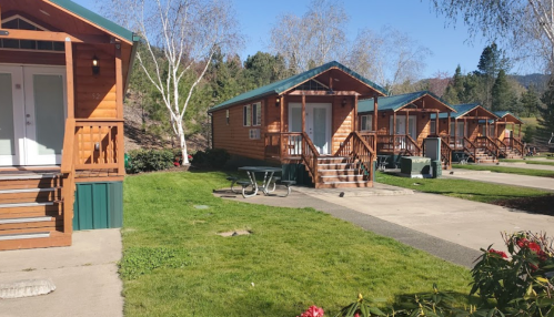 A row of wooden cabins with green roofs, surrounded by grass and trees, in a sunny outdoor setting.