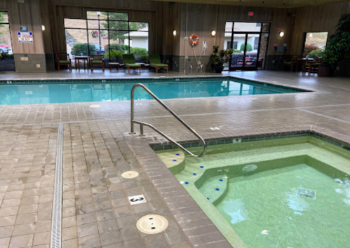 Indoor pool area featuring a swimming pool and a hot tub, with seating and plants in the background.