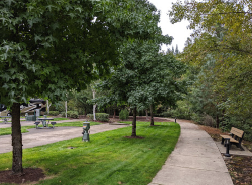 A peaceful park scene with trees, a walking path, and a bench, surrounded by green grass and picnic tables.