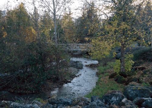A serene stream flows through a wooded area with autumn foliage and a small bridge in the background.
