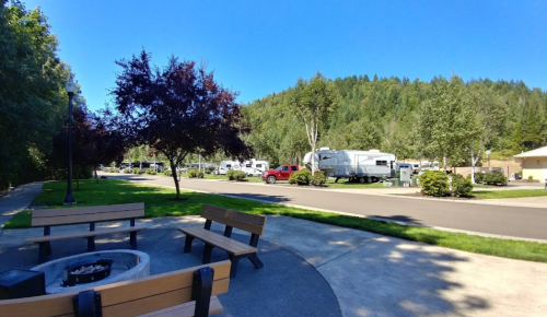 A scenic view of a park with benches, a fire pit, and RVs parked along a tree-lined road under a clear blue sky.