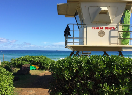 Lifeguard tower at Kealia Beach with ocean view and greenery in the foreground under a clear blue sky.