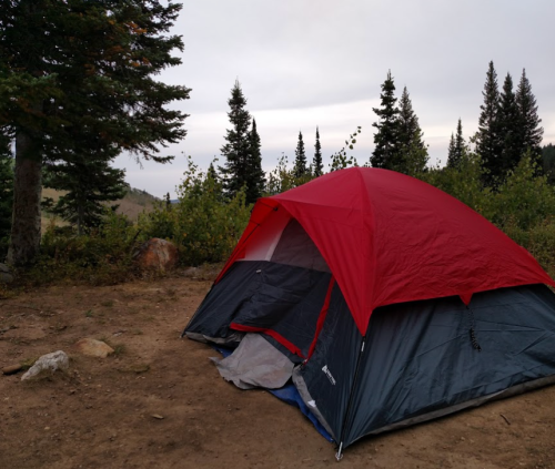 A red and gray tent set up in a forested area with tall trees and a cloudy sky in the background.