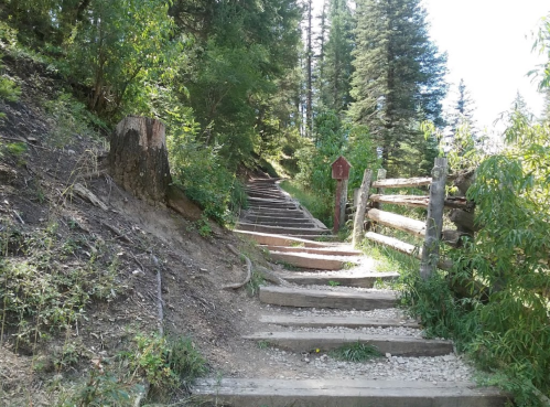 A wooden staircase leads up through a forested area, surrounded by trees and greenery. A signpost is visible nearby.