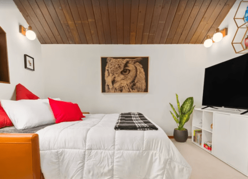 Cozy bedroom with a wooden ceiling, a bed with red and white pillows, an owl artwork, and a TV on a white shelf.