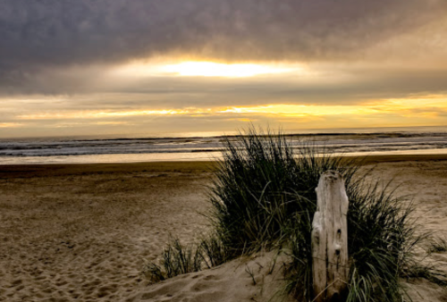 A serene beach scene at sunset, with gentle waves, cloudy skies, and tall grass in the foreground.