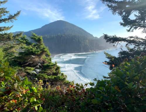 Scenic coastal view with waves crashing against the shore, surrounded by lush greenery and a mountain in the background.