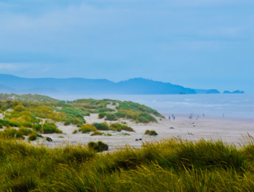 A serene beach scene with rolling dunes, tall grass, and distant figures walking along the shore under a cloudy sky.