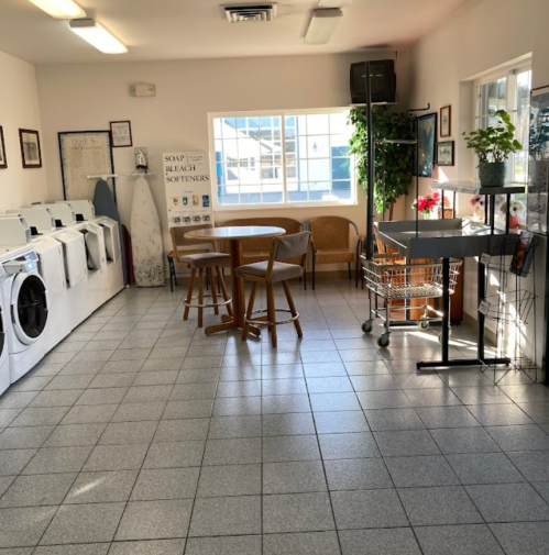 A bright laundry room with washing machines, a table, chairs, and plants, featuring large windows and tiled flooring.