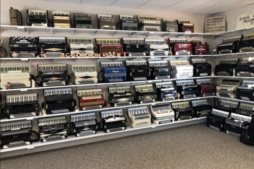 A wall display of various accordions in different colors and styles, neatly arranged on shelves.