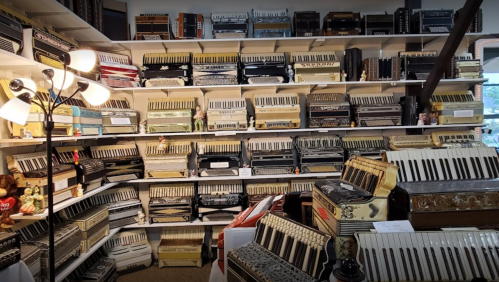 A room filled with shelves of various accordions, showcasing a colorful collection and a lamp in the foreground.